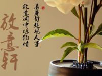 放意轩茶空间