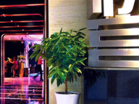 悦宫量贩KTV（含光路店）