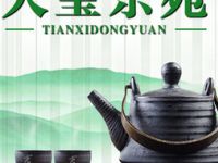 天玺东苑茶楼