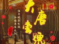大唐壹號养生馆（四海唐人街店）